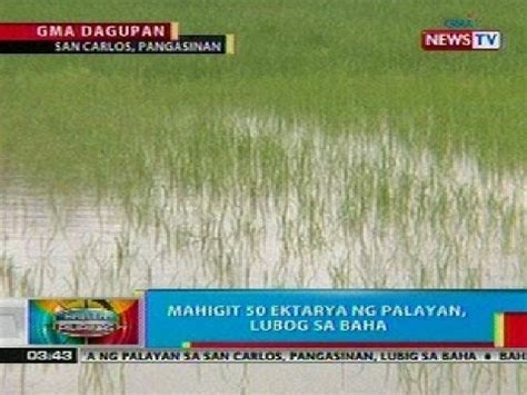 kantotan sa palayan|Kantutan sa Pangasinan .